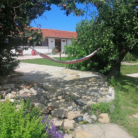 Calla Retreat Vezenkovo Bagian luar foto