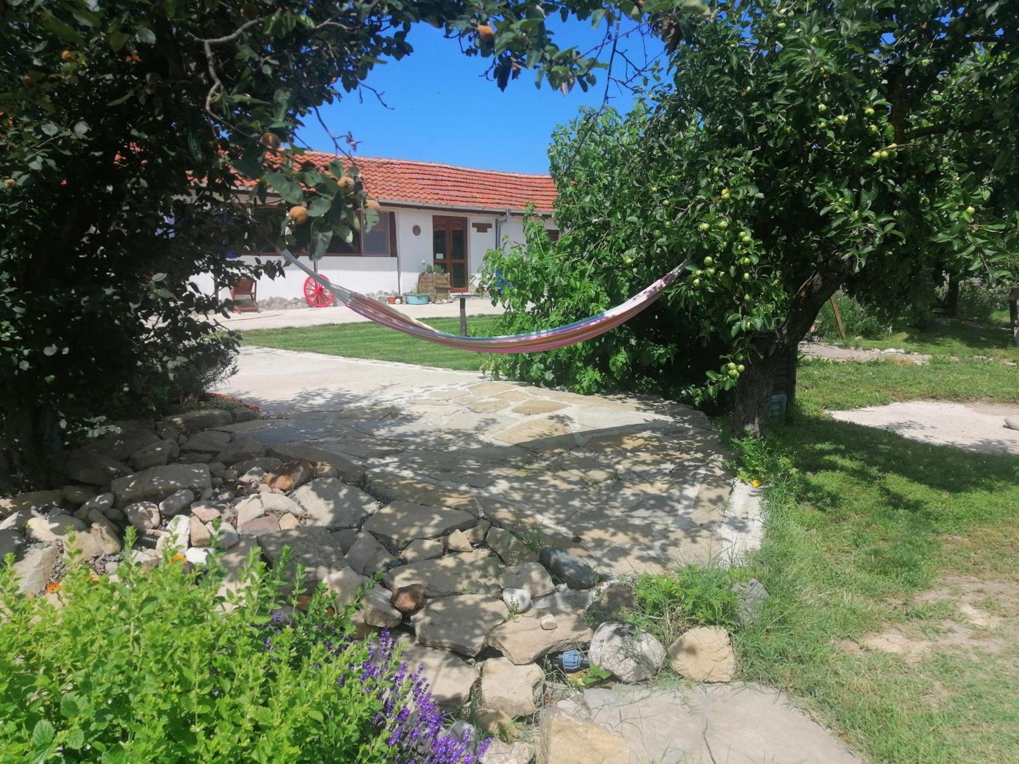 Calla Retreat Vezenkovo Bagian luar foto