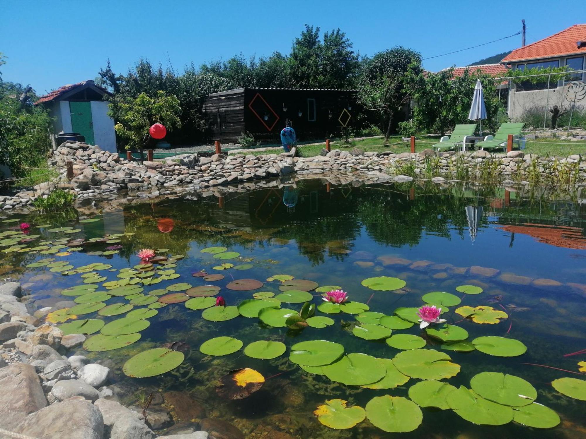 Calla Retreat Vezenkovo Bagian luar foto