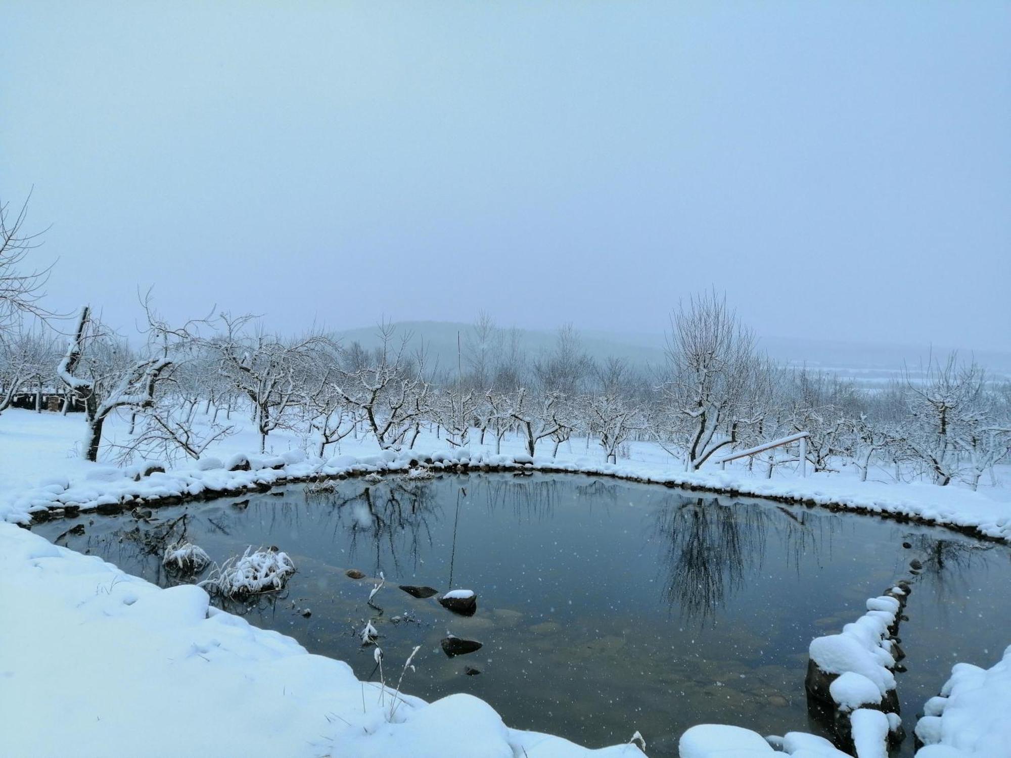 Calla Retreat Vezenkovo Bagian luar foto