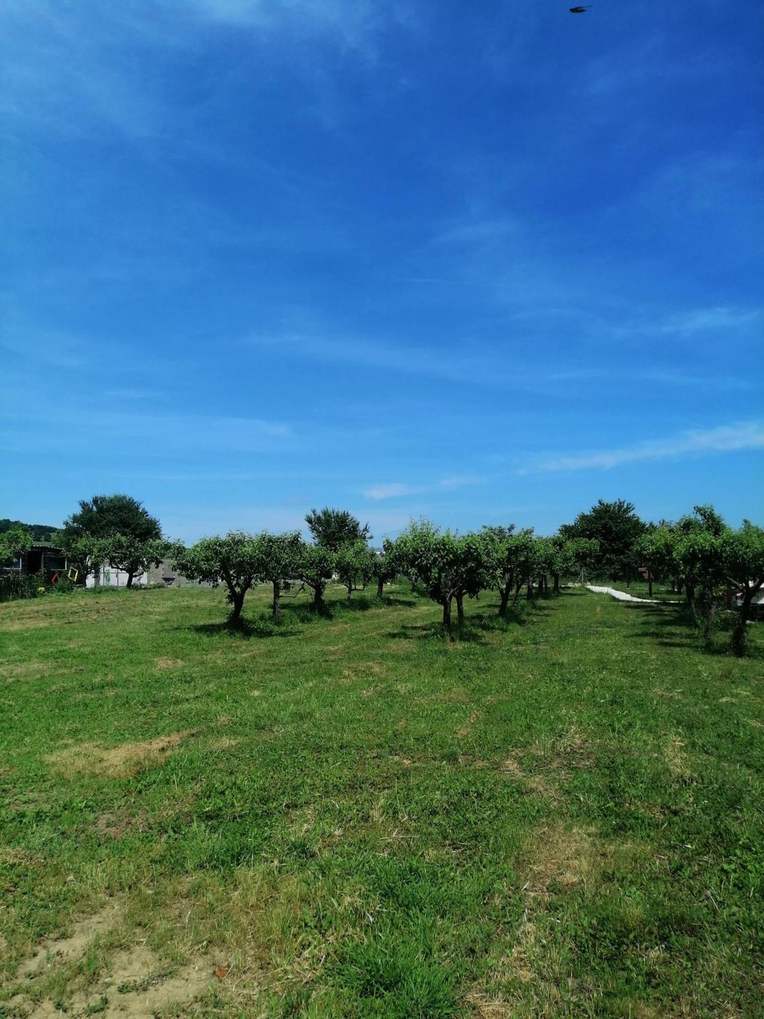 Calla Retreat Vezenkovo Bagian luar foto