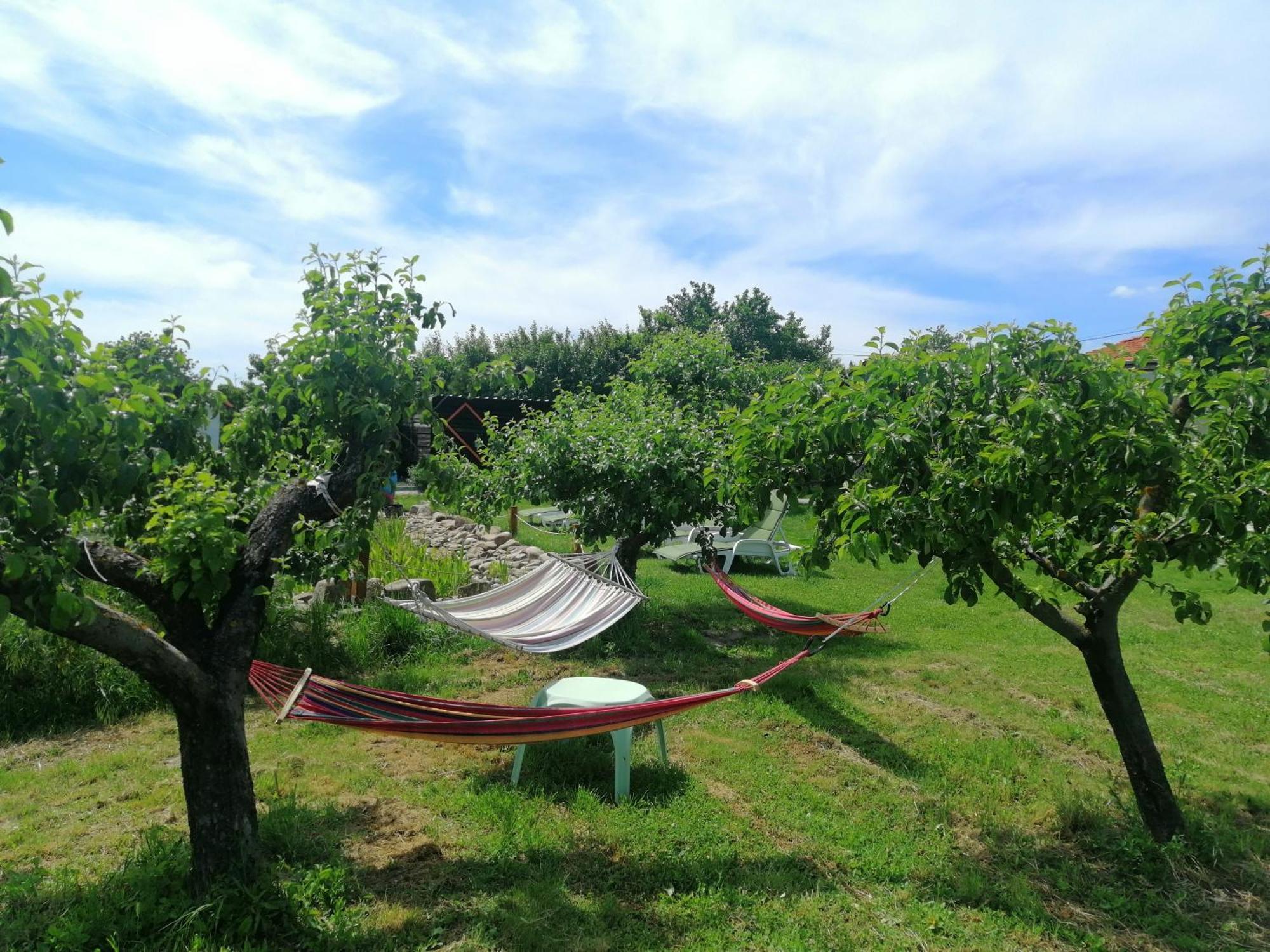 Calla Retreat Vezenkovo Bagian luar foto